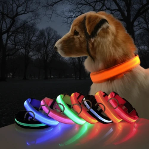 LED Dog Collar Nylon Glow In The Dark Safety-0