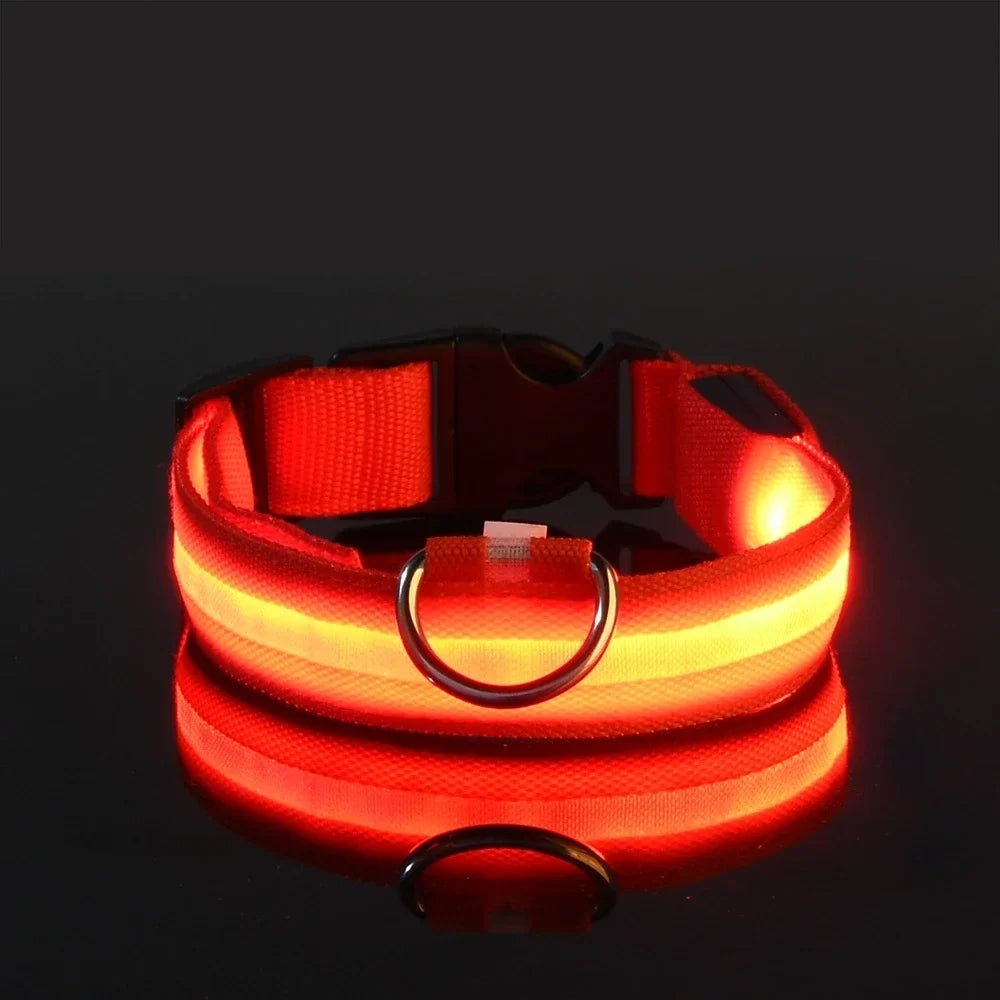 LED Dog Collar Nylon Glow In The Dark Safety-4